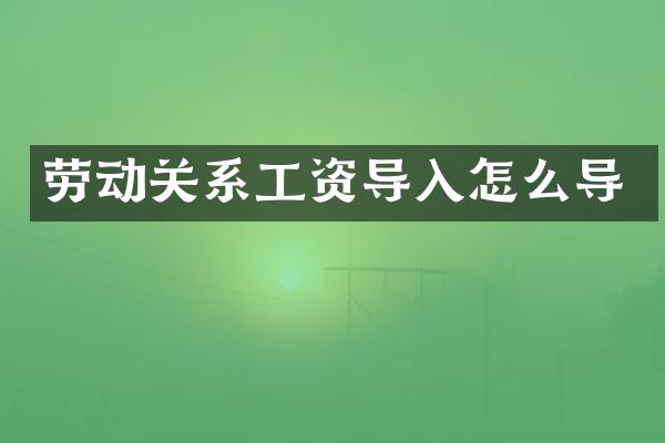劳动关系工资导入怎么导