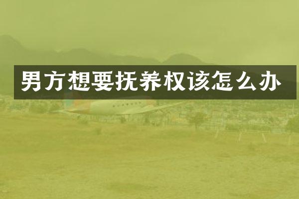 男方想要抚养权该怎么办
