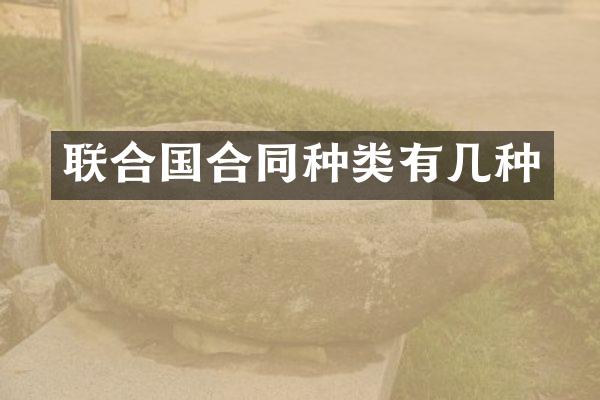 联合国合同种类有几种