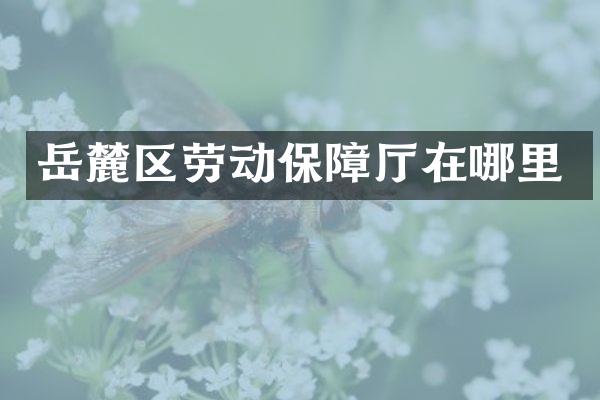 岳麓区劳动保障厅在哪里
