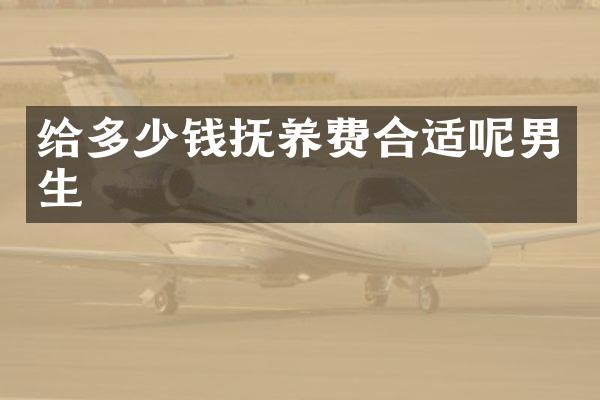 给多少钱抚养费合适呢男生