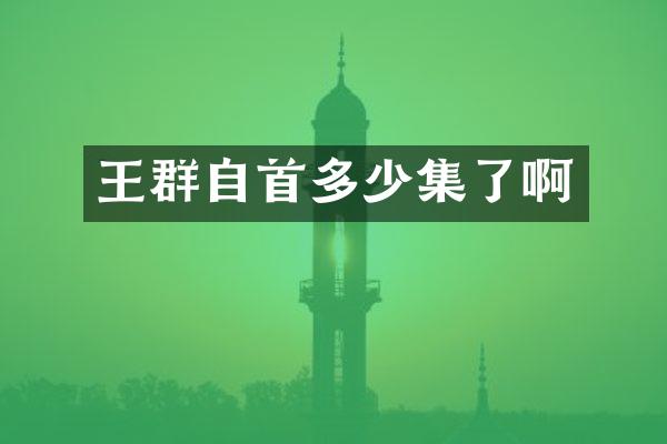 王群自首多少集了啊