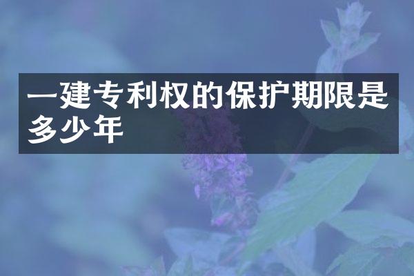 一建专利权的保护期限是多少年