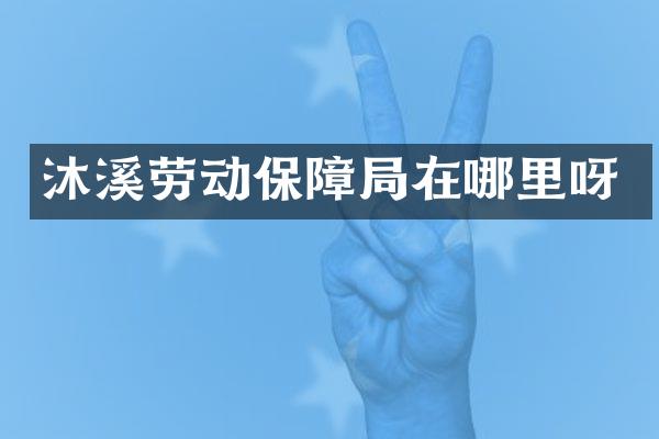 沐溪劳动保障局在哪里呀