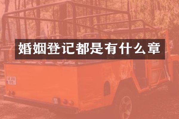 婚姻登记都是有什么章