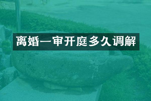 离婚一审开庭多久调解