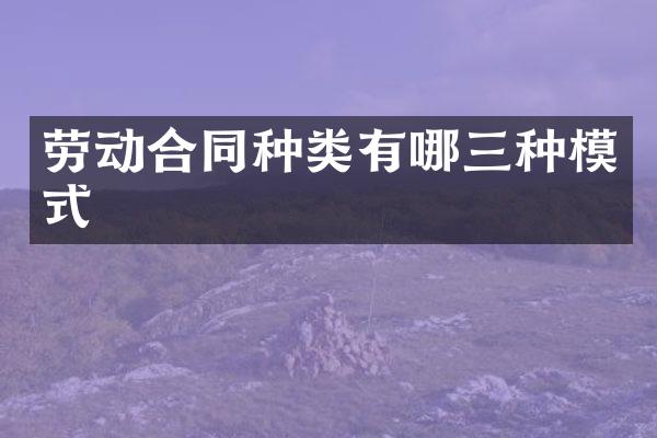 劳动合同种类有哪三种模式