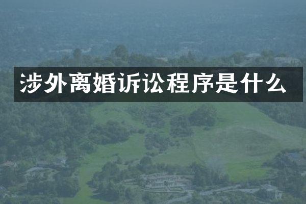 涉外离婚诉讼程序是什么