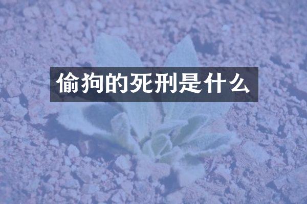 偷狗的死刑是什么