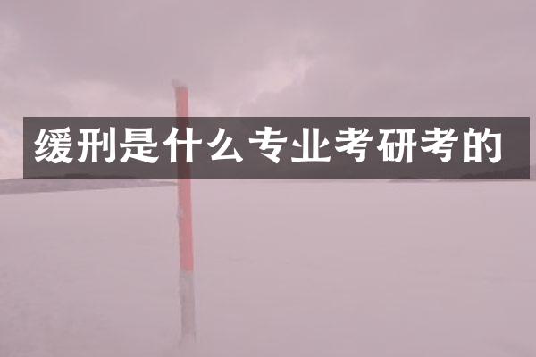 缓刑是什么专业考研考的