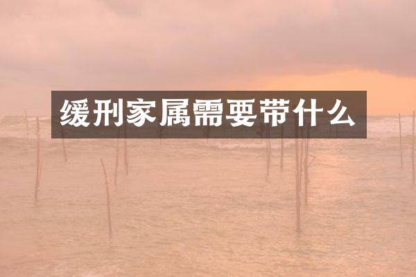 缓刑家属需要带什么