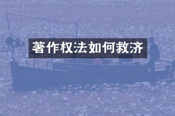 著作权法如何救济