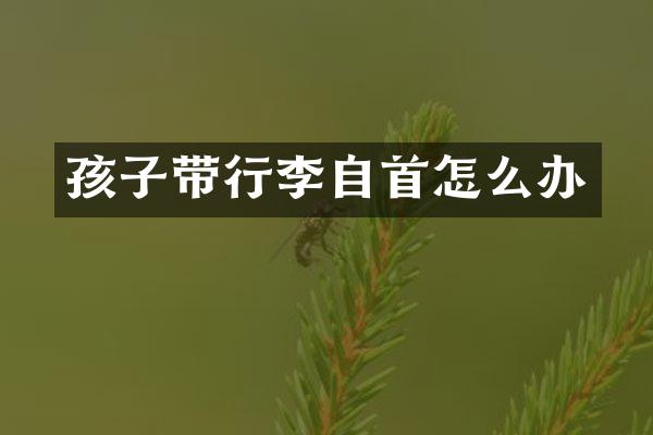 孩子带行李自首怎么办