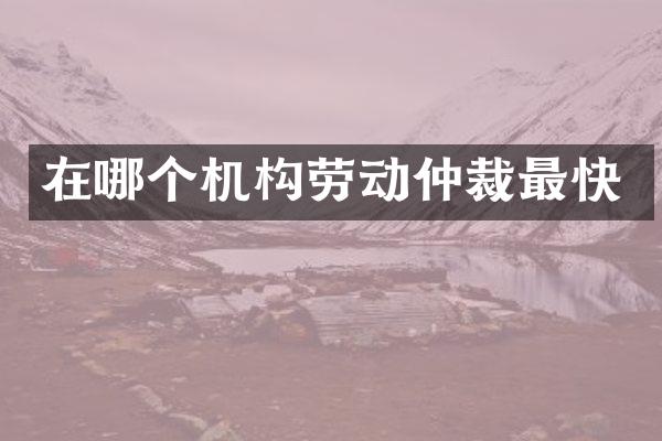 在哪个机构劳动仲裁最快