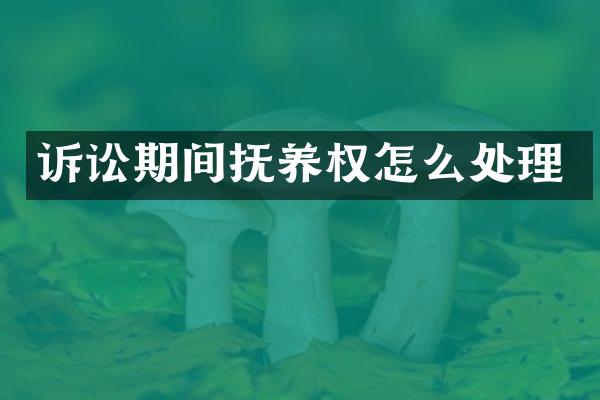 诉讼期间抚养权怎么处理