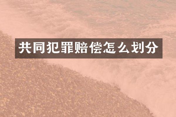 共同犯罪赔偿怎么划分