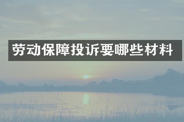 劳动保障投诉要哪些材料