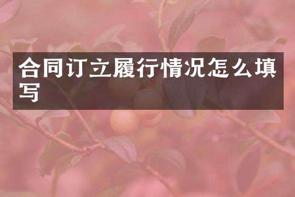 合同订立履行情况怎么填写