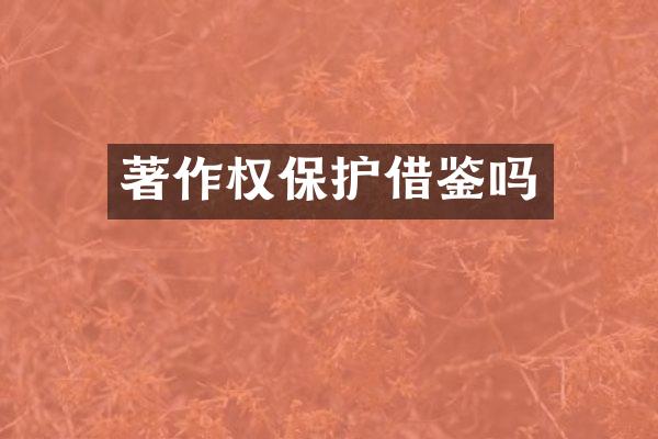 著作权保护借鉴吗