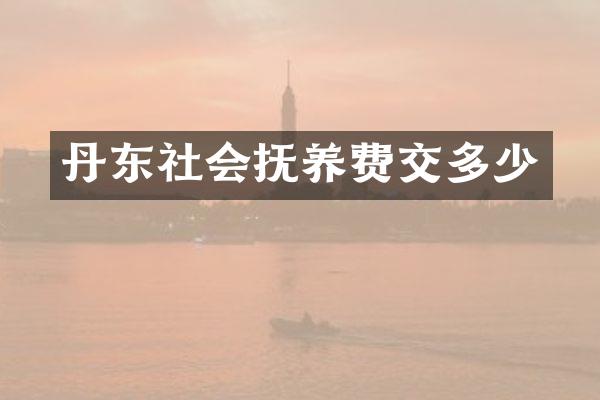 丹东社会抚养费交多少