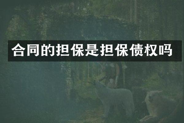 合同的担保是担保债权吗