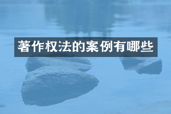 著作权法的案例有哪些