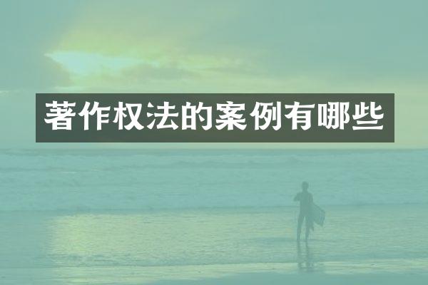 著作权法的案例有哪些