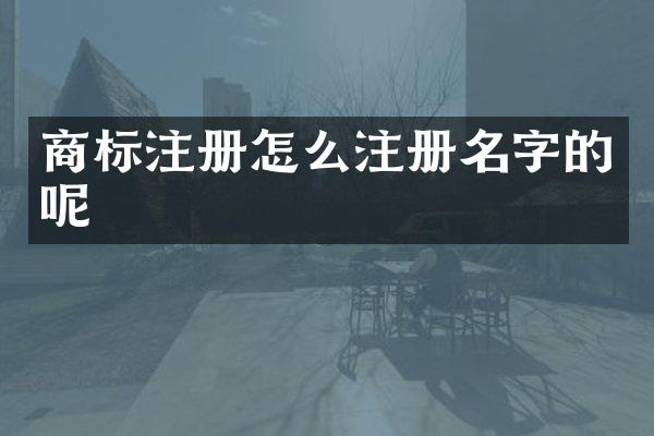 商标注册怎么注册名字的呢