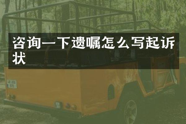咨询一下遗嘱怎么写起诉状