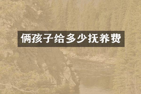 俩孩子给多少抚养费