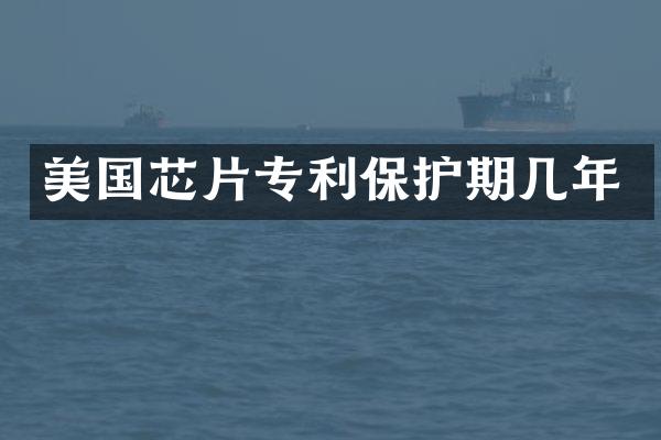 美国芯片专利保护期几年