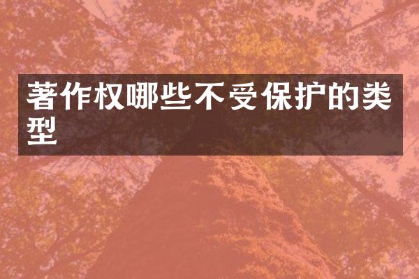 著作权哪些不受保护的类型
