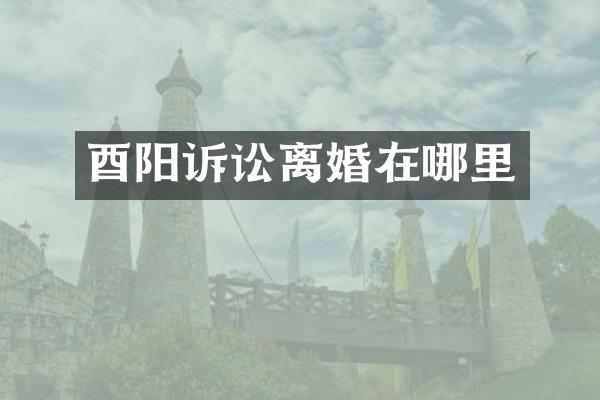 酉阳诉讼离婚在哪里