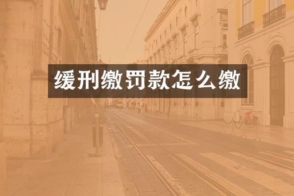 缓刑缴罚款怎么缴