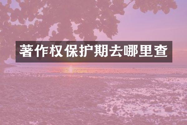 著作权保护期去哪里查