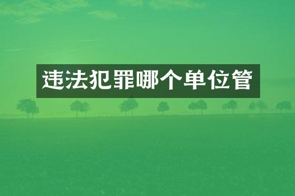 违法犯罪哪个单位管
