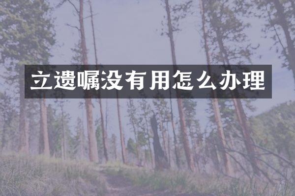 立遗嘱没有用怎么办理