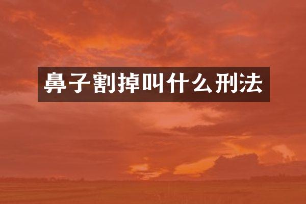 鼻子割掉叫什么刑法