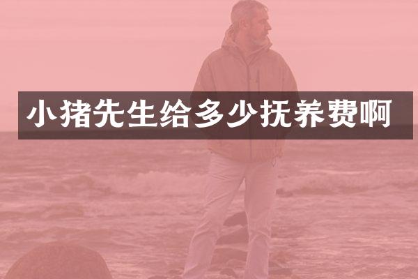 小猪先生给多少抚养费啊