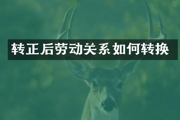转正后劳动关系如何转换