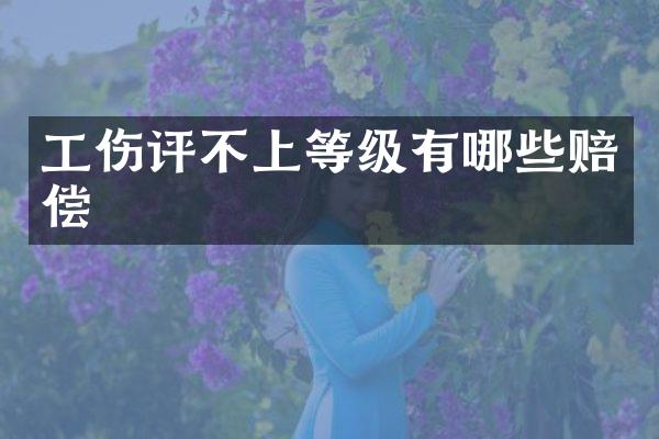 工伤评不上等级有哪些赔偿