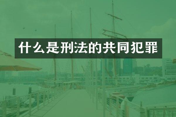 什么是刑法的共同犯罪