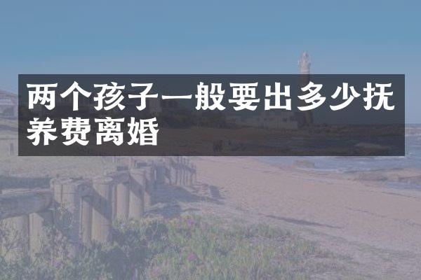 两个孩子一般要出多少抚养费离婚