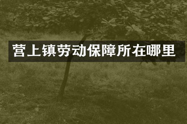 营上镇劳动保障所在哪里