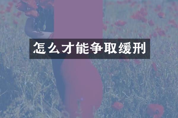 怎么才能争取缓刑