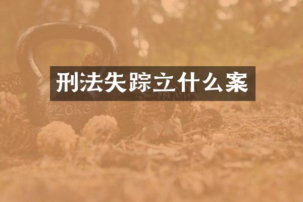 刑法失踪立什么案
