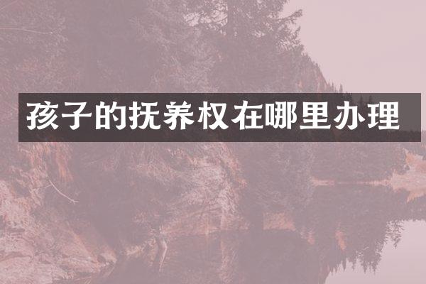 孩子的抚养权在哪里办理