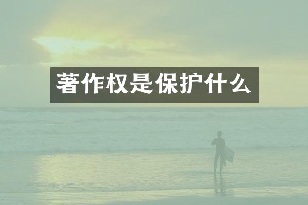 著作权是保护什么