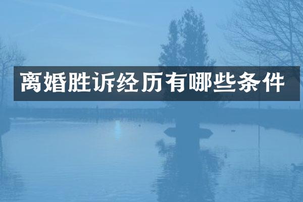 离婚胜诉经历有哪些条件