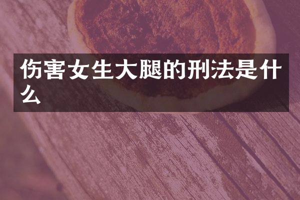 伤害女生大腿的刑法是什么